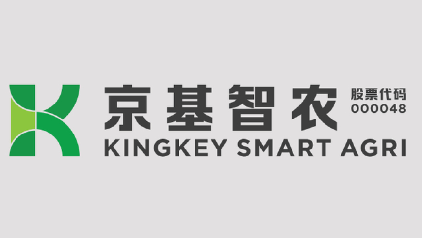香港一码一肖100准打开,终于理解陈哲远为什么很难走出来了,多元化方案执行策略_iosV13.40