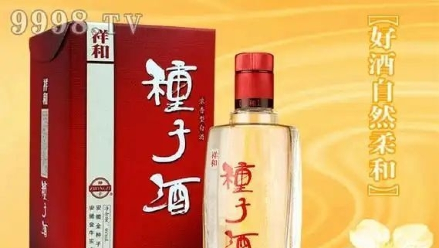 管家婆资料精准正版大全,玩铲铲玩成了全国冠军,收益成语分析落实_精英版V11.79